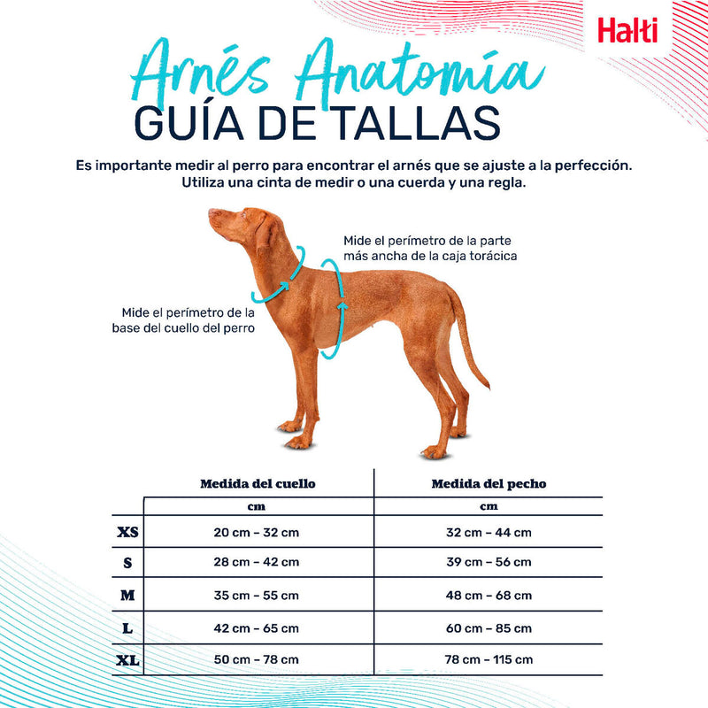 V4H14A93581D69A19D54CA3609F1C96C5B2R5328498P4