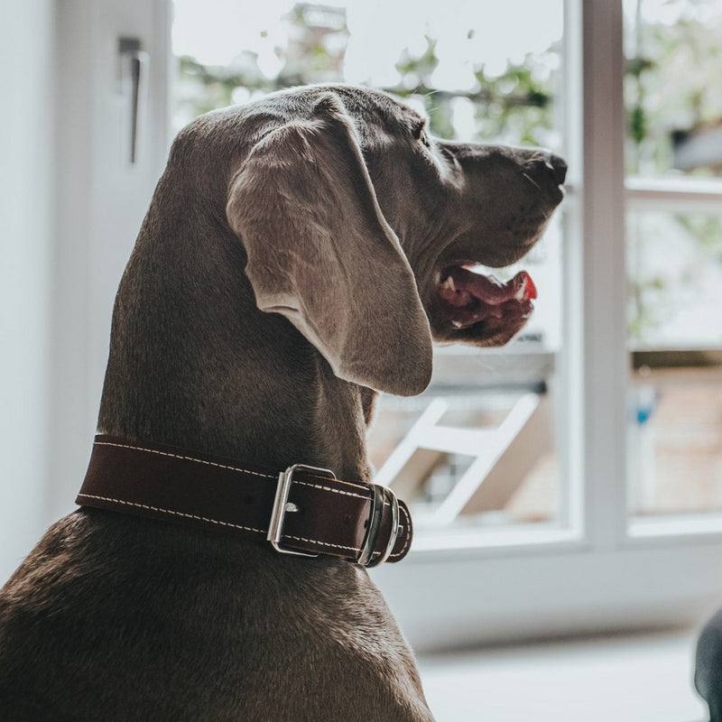 V8H24F628AE1CC76376A9D53A9F92048E2DR1561426P3