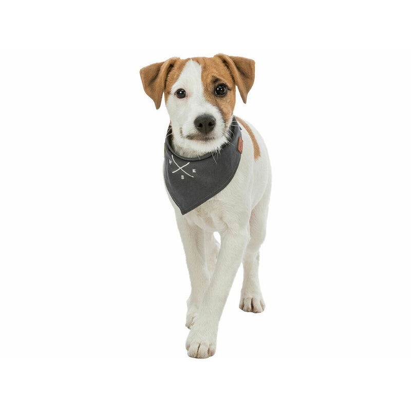 V3H146F481B258E85C7B5958FDA91BED3ADR5550204P7