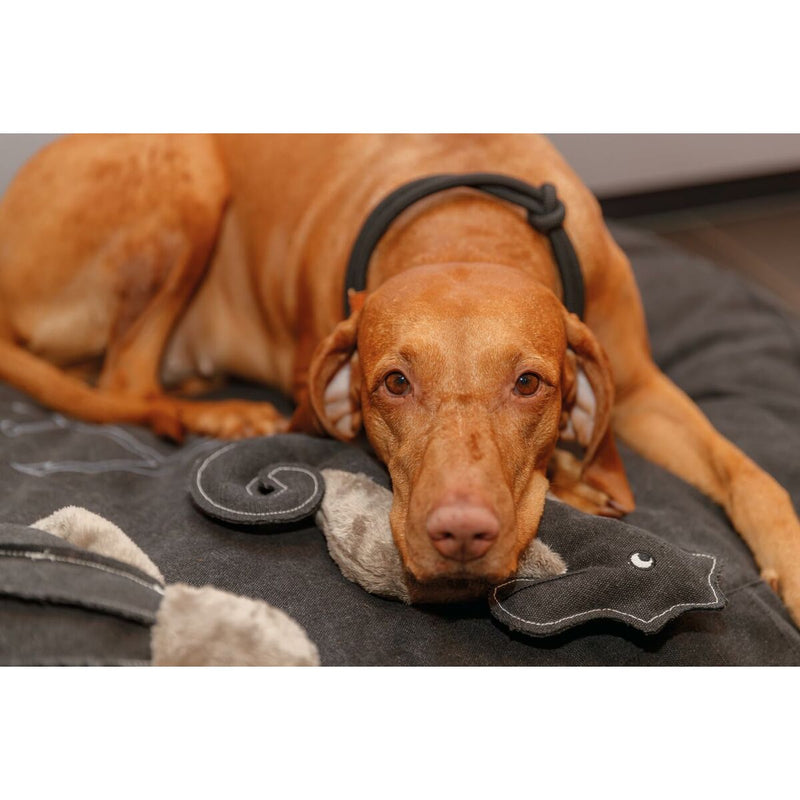 V4H1CCA800DC76BFD206027545FB5FA3D55R5329780P4