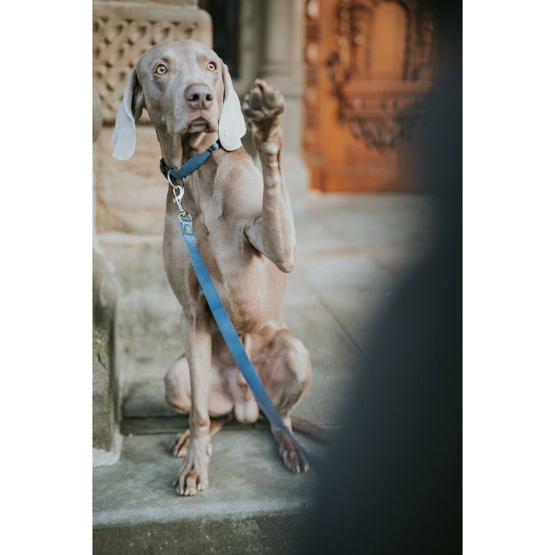 V3H522BA3E1087093E0CB098FC8878552F5R5584344P4